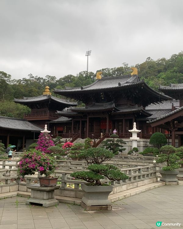 鑽石山～志蓮淨苑家族遊 🥰🌿