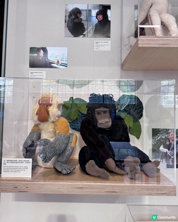 荃灣假日週末好去處💡南豐紗廠展覽連擊🎮🧸