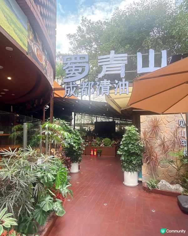 地道四川清油火鍋｜必試爽脆彈牙黃喉