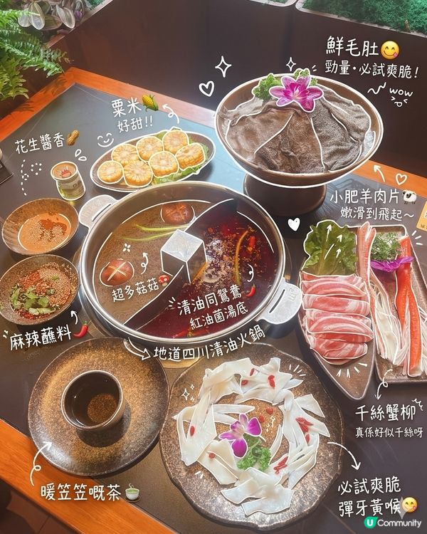 地道四川清油火鍋｜必試爽脆彈牙黃喉