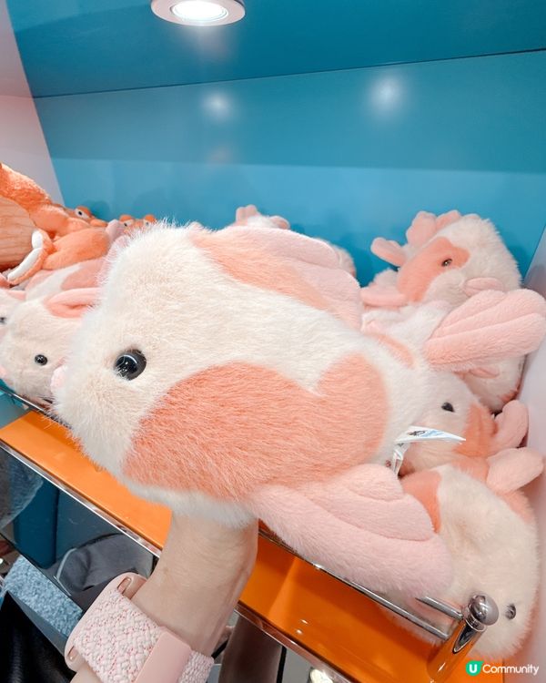 Jelly Cat 遊艇會主題店🚢好chill！