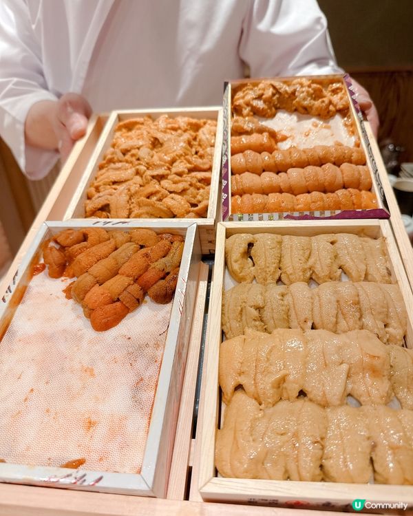 11000 yen 任食海膽壽司放題