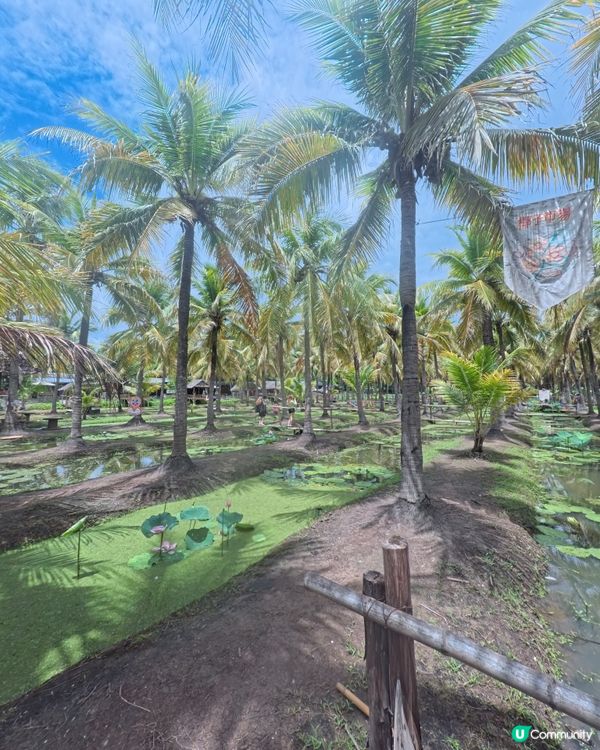 🇹🇭清邁最Chill Coconut Market 