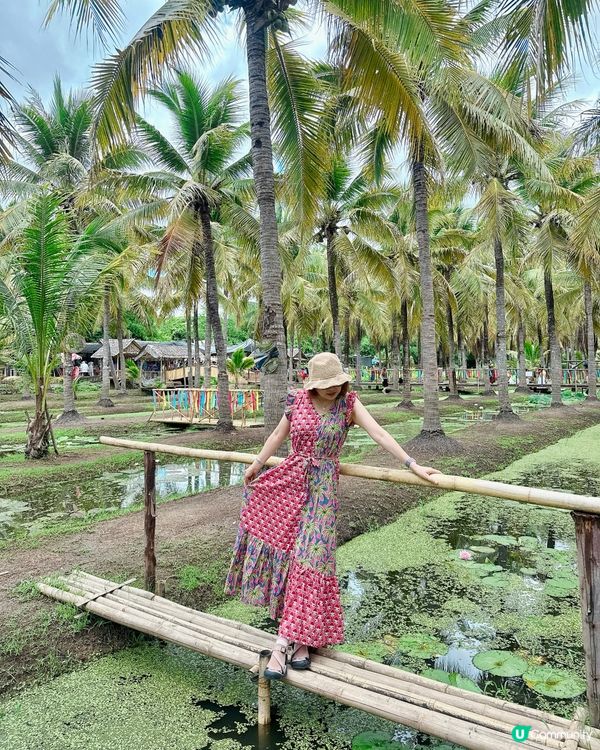 🇹🇭清邁最Chill Coconut Market 
