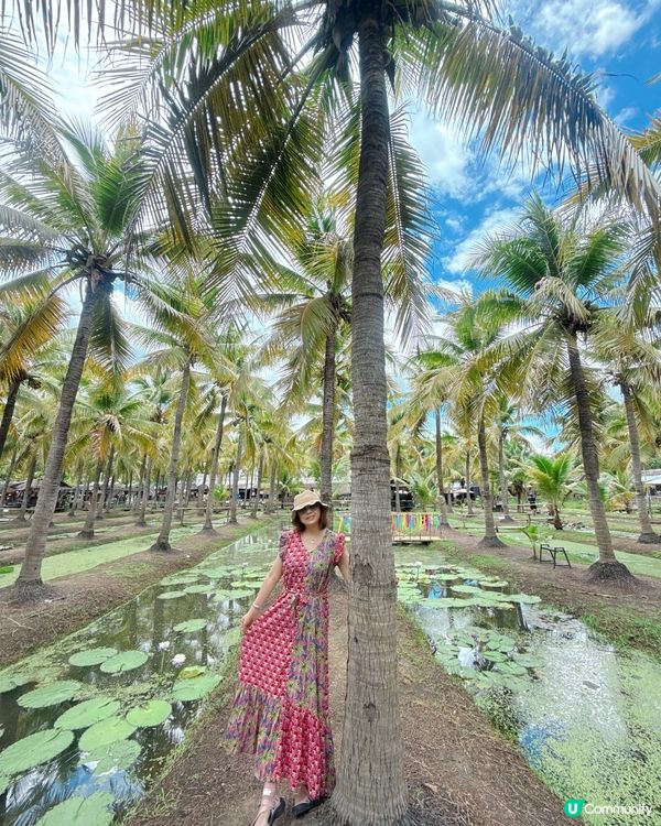 🇹🇭清邁最Chill Coconut Market 
