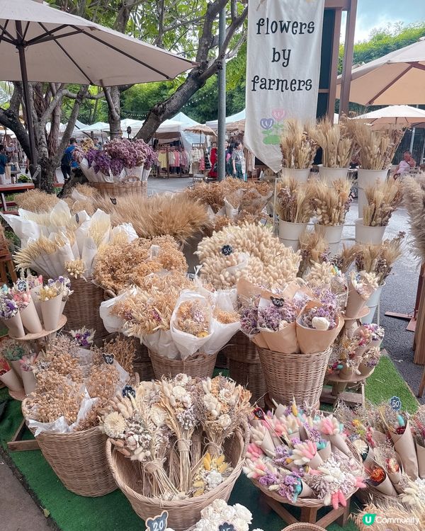 🇹🇭清邁周末必逛文創 + 農夫市集