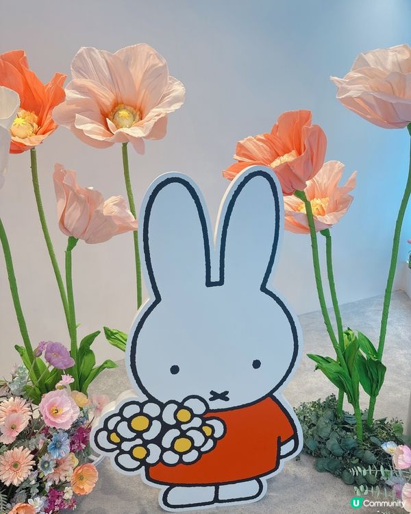 Miffy迷要注意❗️日本期間限定店登陸銅鑼灣