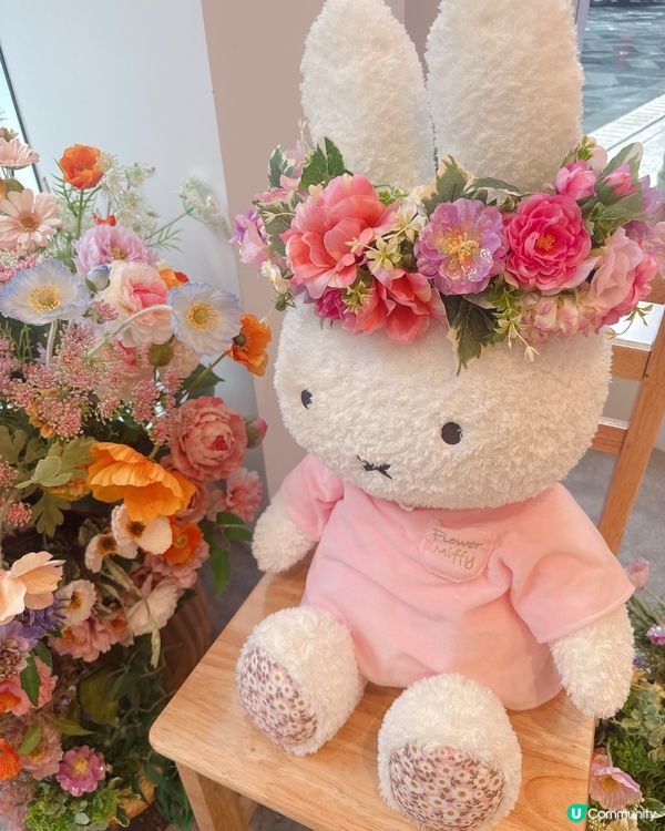 Miffy迷要注意❗️日本期間限定店登陸銅鑼灣