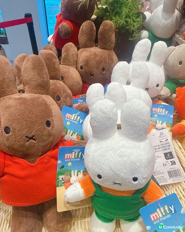 Miffy迷要注意❗️日本期間限定店登陸銅鑼灣