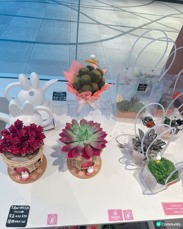 Miffy迷要注意❗️日本期間限定店登陸銅鑼灣
