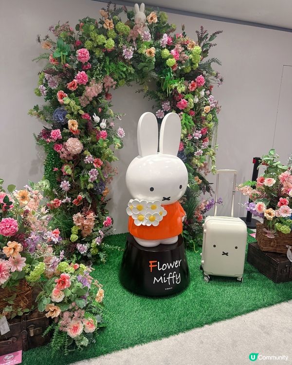 Miffy迷要注意❗️日本期間限定店登陸銅鑼灣