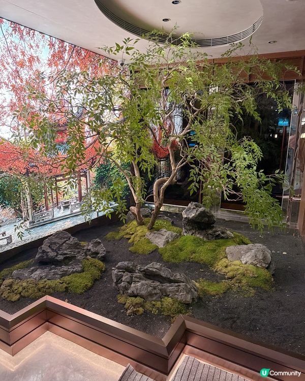 🇭🇰辣得過瘾米芝蓮級湘菜宴｜滿滿椒香鴻運當頭大魚頭