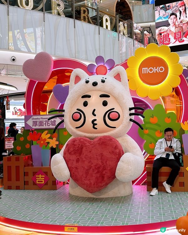 cheekycheeky厚面子