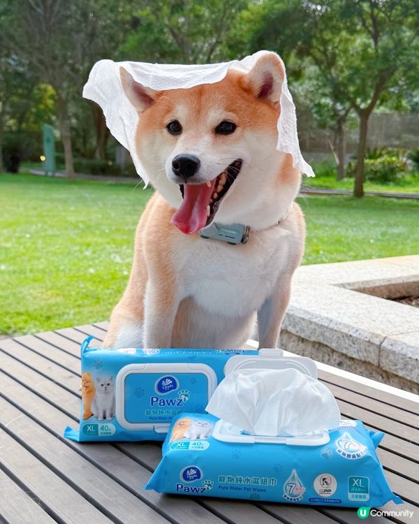 狗狗要健康