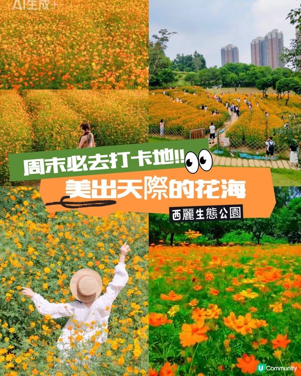 啖啖舒暢透心涼