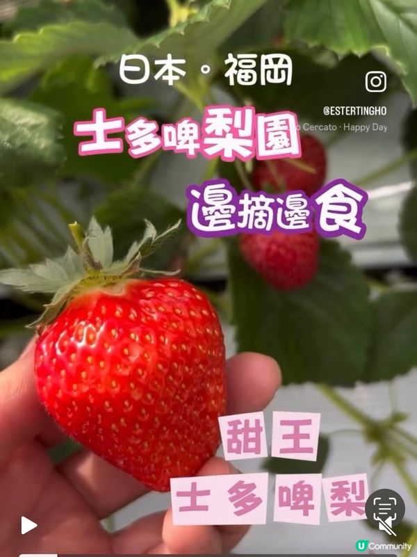 懶人養生最佳伴侶