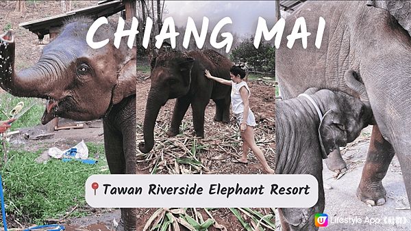 [旅遊]泰國｜清邁Chiang Mai 十天自助行前規劃 住宿、換匯、簽證、交通整理
