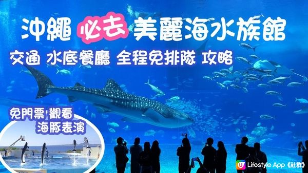 2023 沖繩之旅 Ep3 | 海洋博公園 美麗海水族館｜邂逅九米長鯨鯊 巨型魔鬼魚 免費海豚表演｜Okinawa Churaumi Aquarium