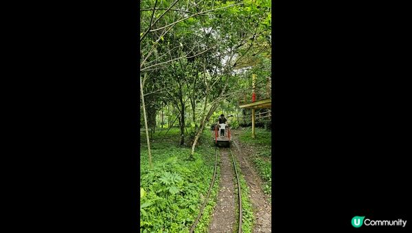 零仙樂園是位於烏來瀑布上方的森林樂園，搭乘纜車才能抵達的世外...