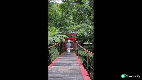 零仙樂園是位於烏來瀑布上方的森林樂園，搭乘纜車才能抵達的世外...