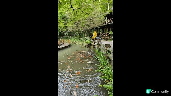 零仙樂園是位於烏來瀑布上方的森林樂園，搭乘纜車才能抵達的世外...