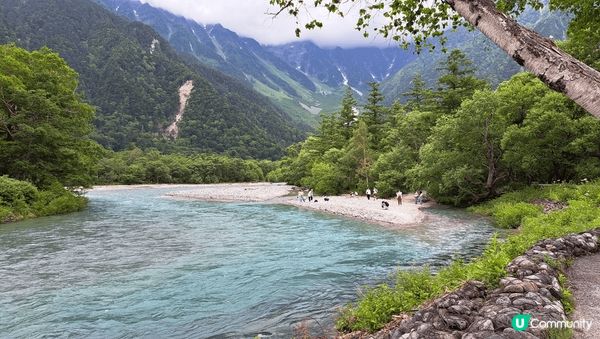 森の系@日本阿爾卑斯上高地 _ 2024/07
