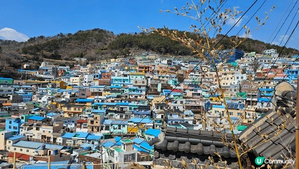 位於釜山既甘村文化村，滿山都係塗滿彩色既屋仔，想拍片/打卡嚟...