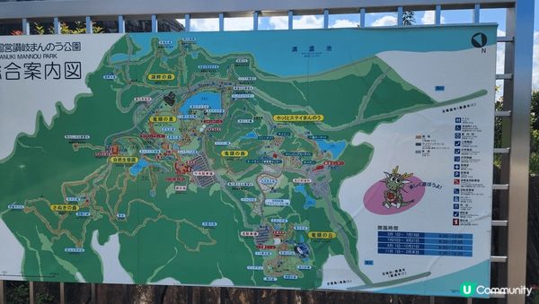 國營讚岐滿濃公園,10月初時花開,很漂亮,值得一去.