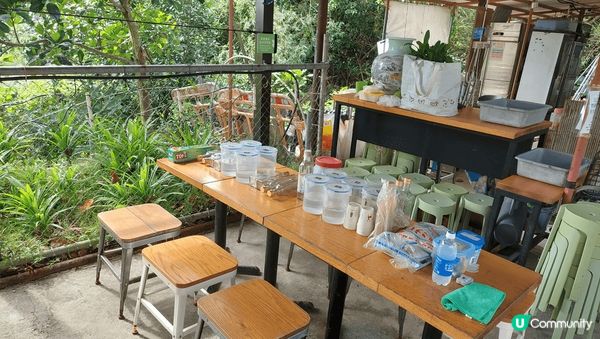 周末Chill 🐗 爆 西貢鹽田梓半日遊