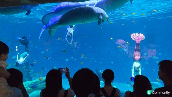 珠海長隆宇宙飛船，好玩，適合一家大小親子遊。