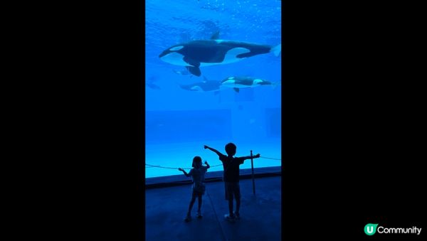 珠海長隆宇宙飛船，好玩，適合一家大小親子遊。