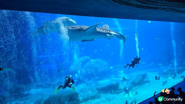 珠海長隆宇宙飛船，好玩，適合一家大小親子遊。