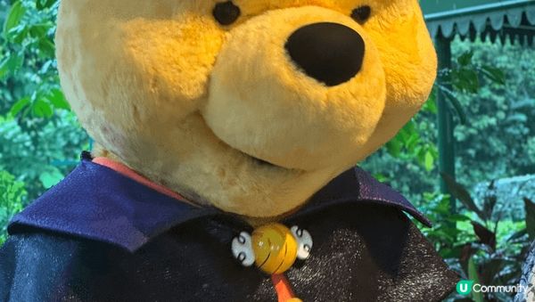 可以由日玩到夜??又有得意?迪士尼人物，而且有很多地方可以影...