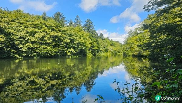 日本郊區清幽，四季有不同的景致，秋季看紅葉，冬季看雪景，美麗...