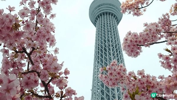 淺草站5分鐘路程的啤酒主題餐廳，TOKYO隅田川Brewin...