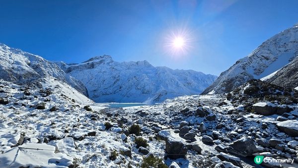 紐西蘭的冰雪世界及牧場中可愛的羊駝