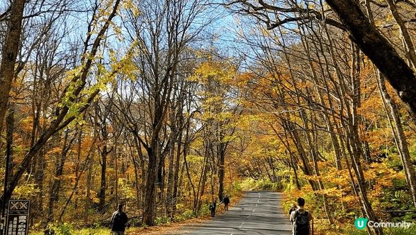 奥入瀬渓流~ 美但不是最美