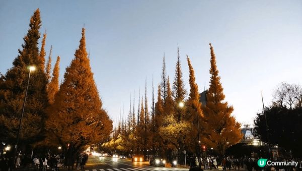 趕上最後的尾班車~ 明治神宮外苑