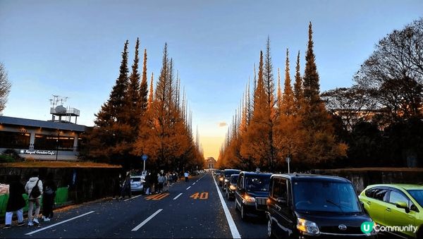 趕上最後的尾班車~ 明治神宮外苑