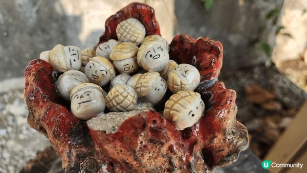 ❤️2小時輕鬆遊‼️與超美海岸線💥打卡‼️ 