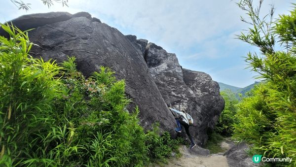 【🤪初級I冷門 l 易行 l CP值高的長屻山😍