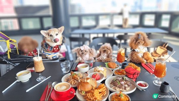 各有特點，MegaBox food court喜歡食什麼也有...