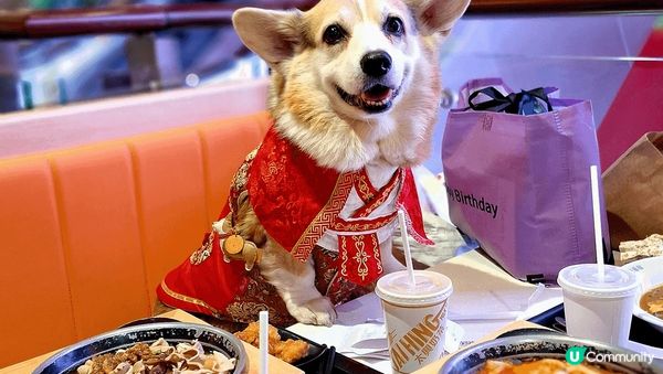 各有特點，MegaBox food court喜歡食什麼也有...