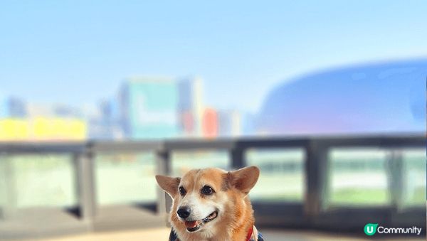 各有特點，MegaBox food court喜歡食什麼也有...