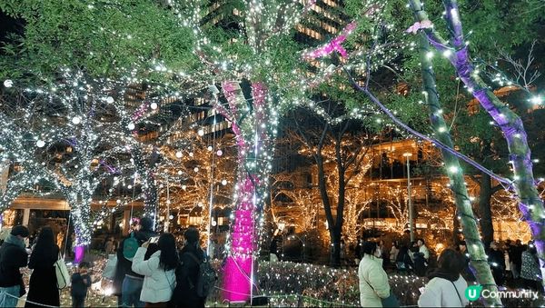 東京六本木的Tokyo Midtown 每年都有好靚嘅聖誕節...