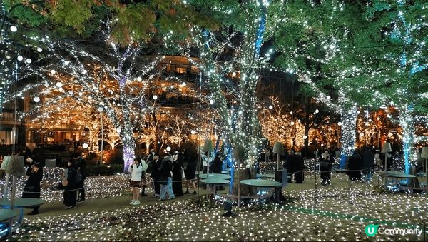 東京六本木的Tokyo Midtown 每年都有好靚嘅聖誕節...