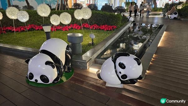 在荃灣嘅鬧市之中，也有一片淨土， 行過路過的可以欣賞聖誕燈飾...