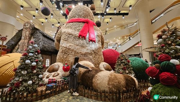 金鐘pacific place年年都去打齒，今年有驚喜，隻貓...