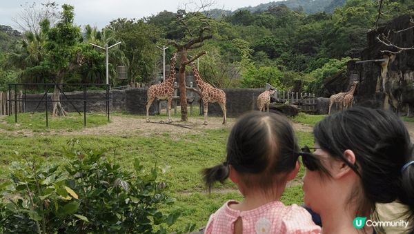 臺北市立動物園，帶小朋友必去(´▽｀)

