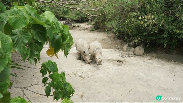 臺北市立動物園，帶小朋友必去(´▽｀)
